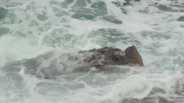 Deniz kıyısı. Deniz Burnu. Sozopol. Bulgaristan.