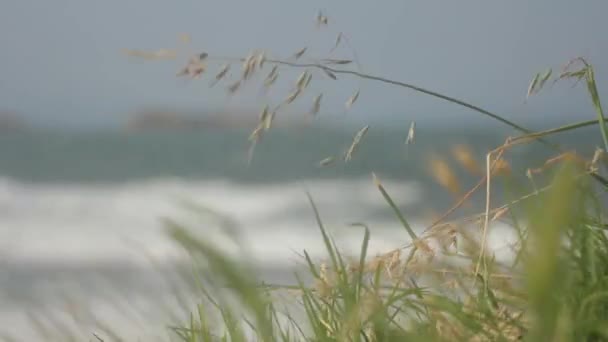 Mořské pobřeží. Seascape. Sozopol. Bulharsko. — Stock video