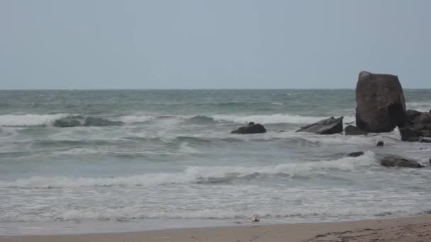 Au bord de mer. Paysage marin. Sozopol. Bulgarie . — Video