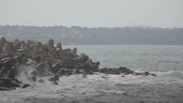 Orilla del mar. Paisaje marino. Sozopol. Países Bajos . — Vídeos de Stock