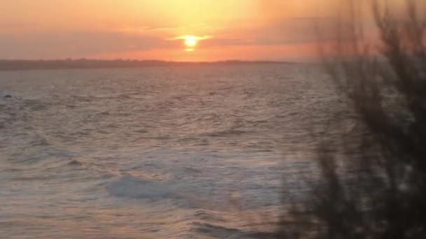 Захід сонця над морем. Морська миша. Созополь. Болгарія. — стокове відео