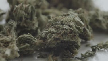 Marihuana. Esrar. Kenevir. Yakın plan..