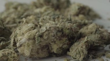 Marihuana. Esrar. Kenevir. Yakın plan. Yavaş çekim