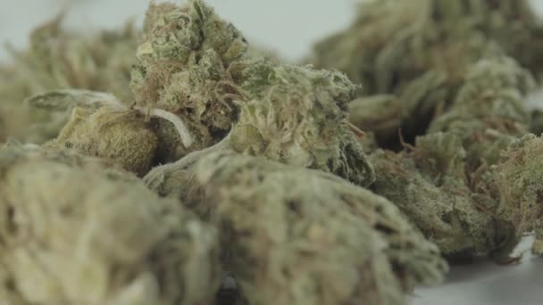 Marijuana. Cannabis. Cânhamo. Close-up . — Vídeo de Stock