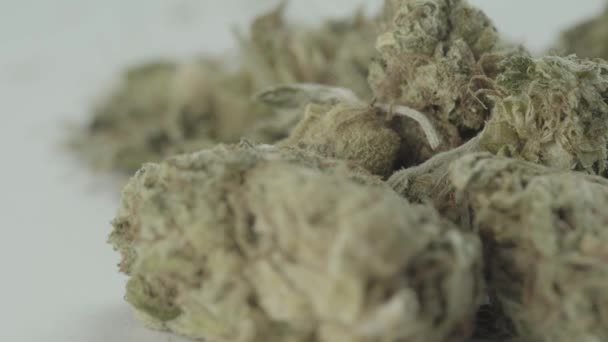 Marihuana. Cannabis. Hanf. Nahaufnahme. — Stockvideo