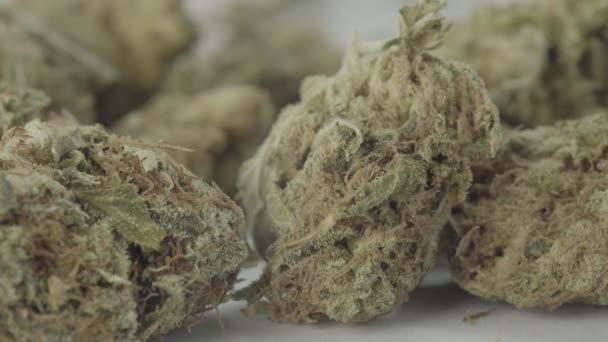 Marihuana. Cannabis. Hennep. Close-up. — Stockvideo