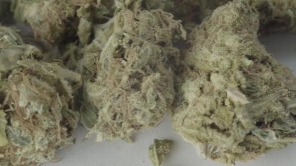 Marihuana. Cannabis. Hennep. Close-up. — Stockvideo
