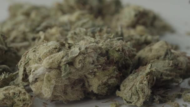 Marihuana. Cannabis. Hennep. Een close-up. Langzame beweging — Stockvideo