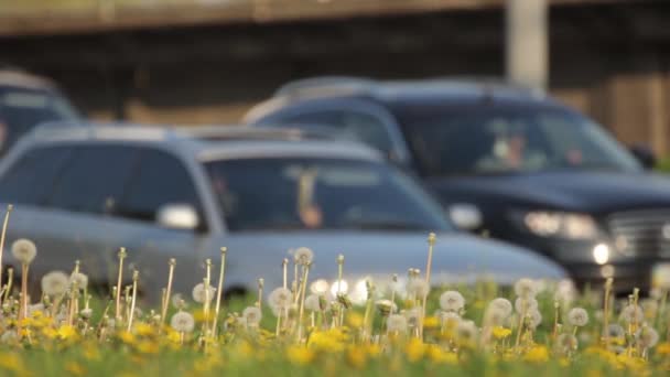 Road traffic. Cars drive on the road. Kyiv. Ukraine — Stock Video