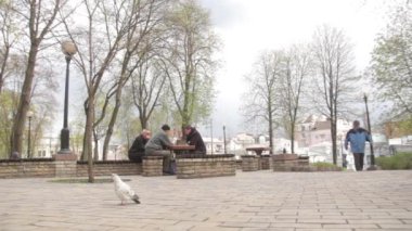 Emekliler sonbaharda parkta satranç oynarlar. Kyiv, Ukrayna