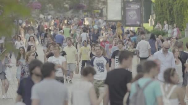 Πλήθος. Πολλοί άνθρωποι περπατούν στο δρόμο. Κίεβο. Ουκρανία — Αρχείο Βίντεο