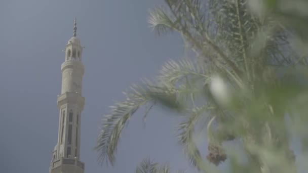 Mesquita em Sharm El Sheikh. Egipto — Vídeo de Stock