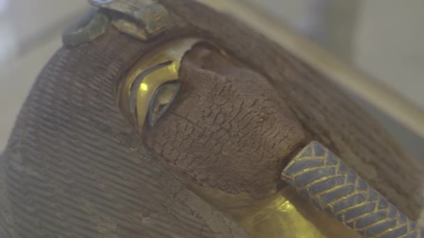 博物館のママカイロ。エジプト. — ストック動画