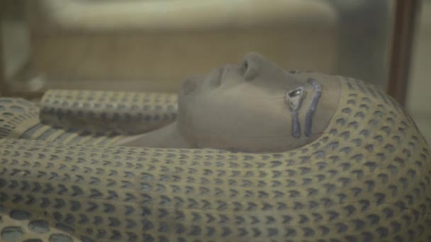Mumie im Museum. Kairo. Ägypten. — Stockvideo