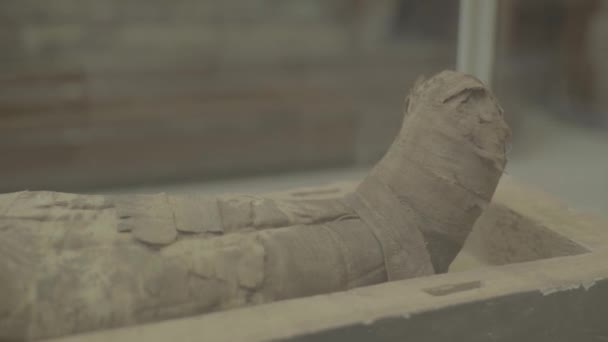 Mumie im Museum. Kairo. Ägypten. — Stockvideo