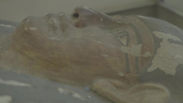 Mumie im Museum. Kairo. Ägypten. — Stockvideo