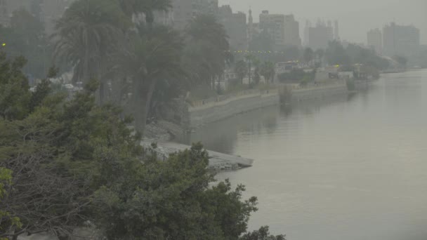 На світанку річка Ніл. Каїр. Єгипет. — стокове відео