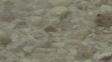 Taşlı deniz kıyısı. Şeyh Sharm. Mısır.