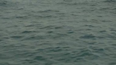 Gün batımında deniz suyu. Yakın plan. Sharm-el-Sheikh. Mısır.
