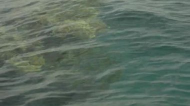 Gün batımında deniz suyu. Yakın plan. Sharm-el-Sheikh. Mısır.