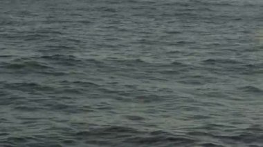Gün batımında deniz suyu. Yakın plan. Sharm-el-Sheikh. Mısır.