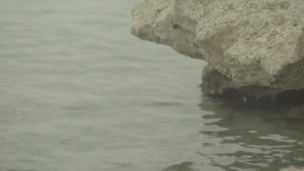 돌로 된 해변. 하사님 ! 하사님 !. 이집트. — 비디오
