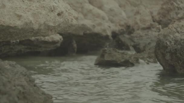石质海滨。 沙姆沙伊赫沙姆沙伊赫。 埃及. — 图库视频影像