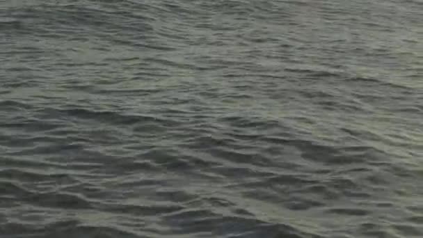 Eau de mer au coucher du soleil. Gros plan. Charm-el-Cheikh. Égypte .