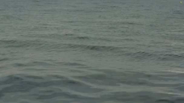 Eau de mer au coucher du soleil. Gros plan. Charm-el-Cheikh. Égypte .