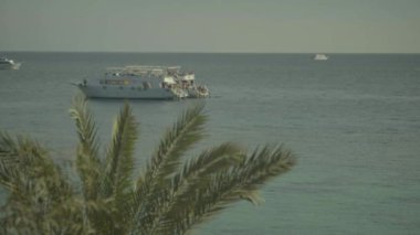 Denizde bir yat. Sharm-el-Sheikh. Mısır.