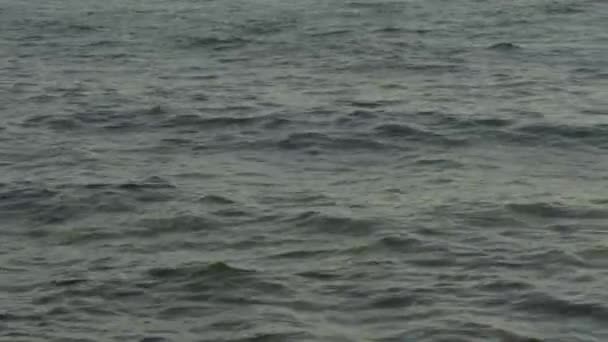 Eau de mer au coucher du soleil. Gros plan. Charm-el-Cheikh. Égypte .