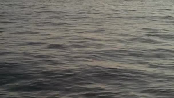 Eau de mer au coucher du soleil. Gros plan. Charm-el-Cheikh. Égypte .