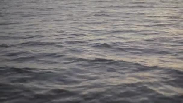 Sea water at sunset. Close-up. Sharm-el-Sheikh. Egypt. — Stockvideo