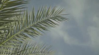 Gündüzleri bulutların hızlanması. Sharm el-Sheikh. Mısır.