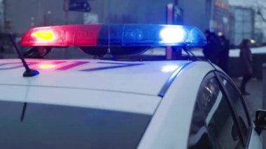 Gece bir polis arabasının çatısında teşhirci. Yanıp sönen.