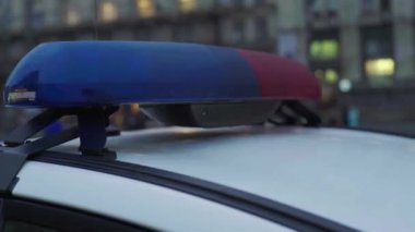 Gece bir polis arabasının çatısında teşhirci. Yanıp sönen.