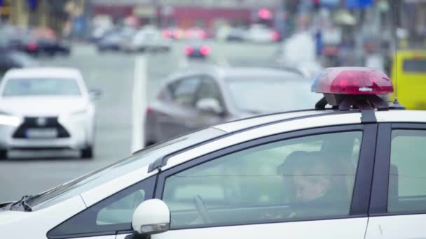 Polizistinnen am Tatort. Blaulicht der Polizei. kyiv. Ukraine — Stockvideo