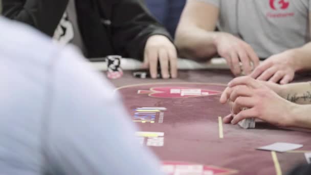 Cards while playing poker in a casino. Close-up. Gambling — ストック動画