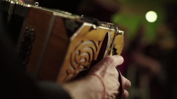 Le musicien joue de l'accordéon dans le bar. Kiev. Ukraine — Video