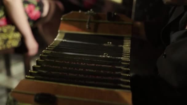 Le musicien joue de l'accordéon dans le bar. Kiev. Ukraine — Video