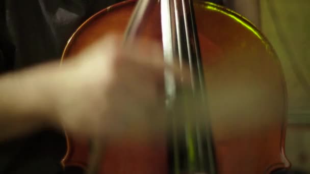 En man spelar cello — Stockvideo