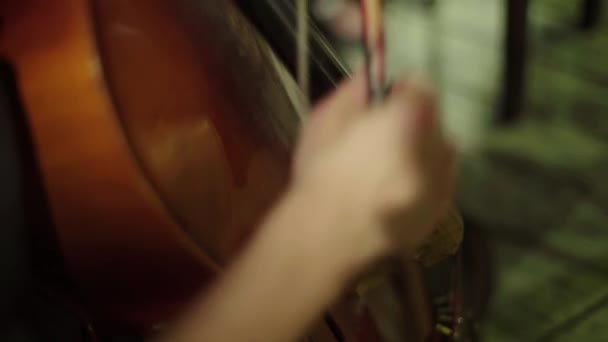 Een man speelt cello in een bar. Kiev. Oekraïne. — Stockvideo