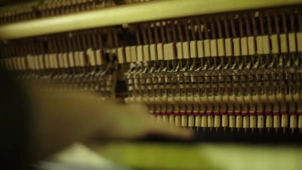 Une musicienne joue du piano dans un bar. Kiev. Ukraine 