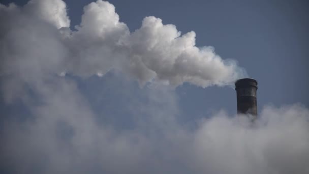 Er komt rook uit de schoorsteen. Luchtverontreiniging. Ecologie. Kiev. Oekraïne. — Stockvideo