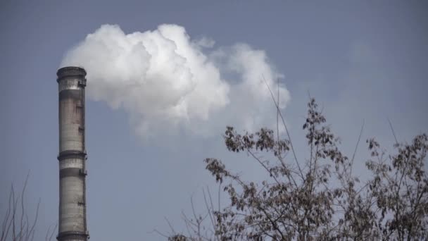 Smoke comes from the chimney. Air pollution. Ecology. Kyiv. Ukraine. — Stock Video