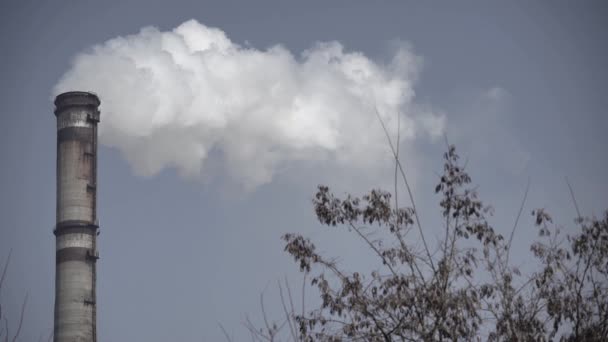 Дым идет из дымохода. Загрязнение воздуха. Экология. Киев. Украина . — стоковое видео