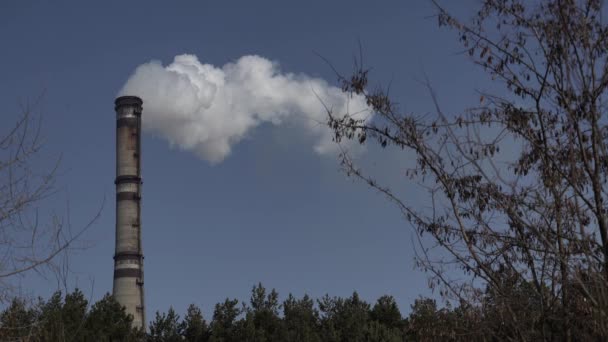 Rök kommer från skorstenen. Luftföroreningar. Ekologi. Kiev. Ukraina. — Stockvideo