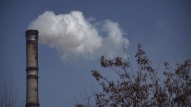 Duman bacadan geliyor. Hava kirliliği. Ekoloji. Kyiv. Ukrayna.