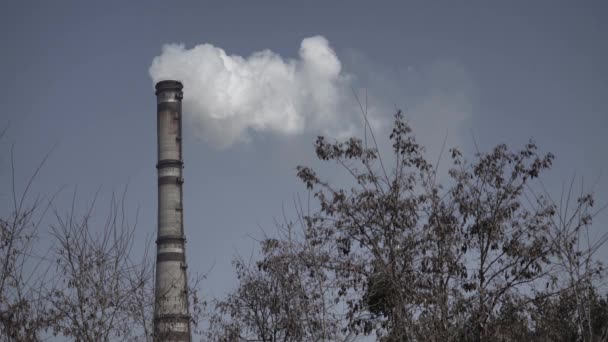 Duman bacadan geliyor. Hava kirliliği. Ekoloji. Kyiv. Ukrayna. — Stok video