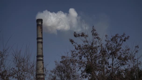 Rauch dringt aus dem Schornstein. Luftverschmutzung. Ökologie. kyiv. Ukraine. — Stockvideo